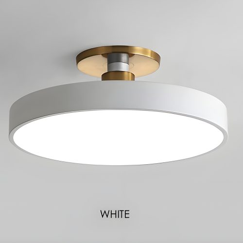 Minimalistic LED Metal and Acrylic Ceiling Lamp White